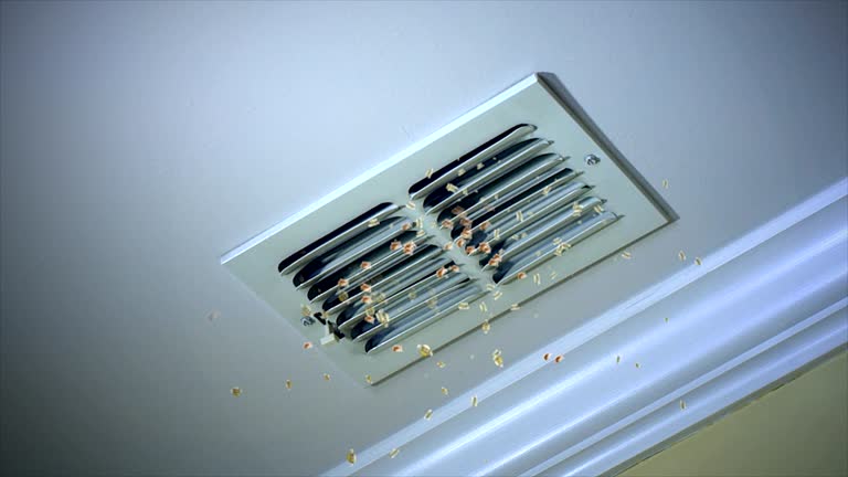 Air Duct Mold Removal in Cadott, WI